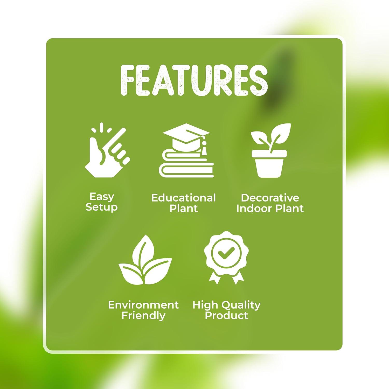 Venus Flytrap Live Plant Kit with Carnivorous Plant Food in 2.5" Glass Cube – Indoor Bug-Eating Plant with Tweezers & Sphagnum Moss – Educational Gift Fly Trap