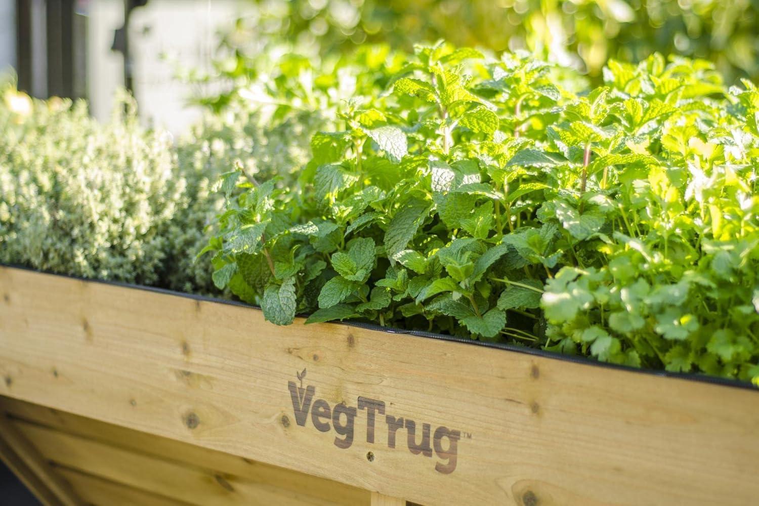 Medium Classic VegTrug - Natural