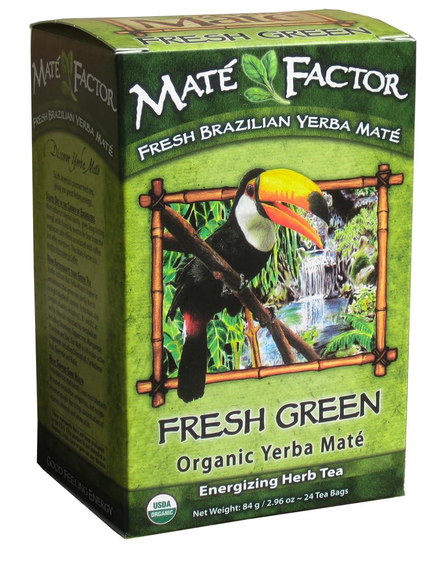 Mate Factor Fresh Green Organic Yerba Mate - Case of 6 - 24 Bags