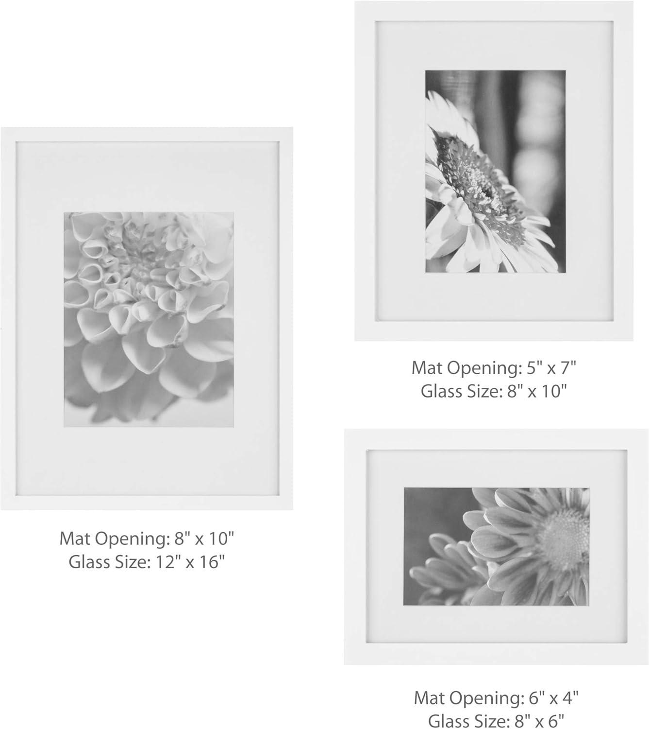 Gallery Wall Solid Wood Matted Picture Frame Kit - 7 Pieces with Two 8" x 10", Four 6" x 8", and One 12" x 16"