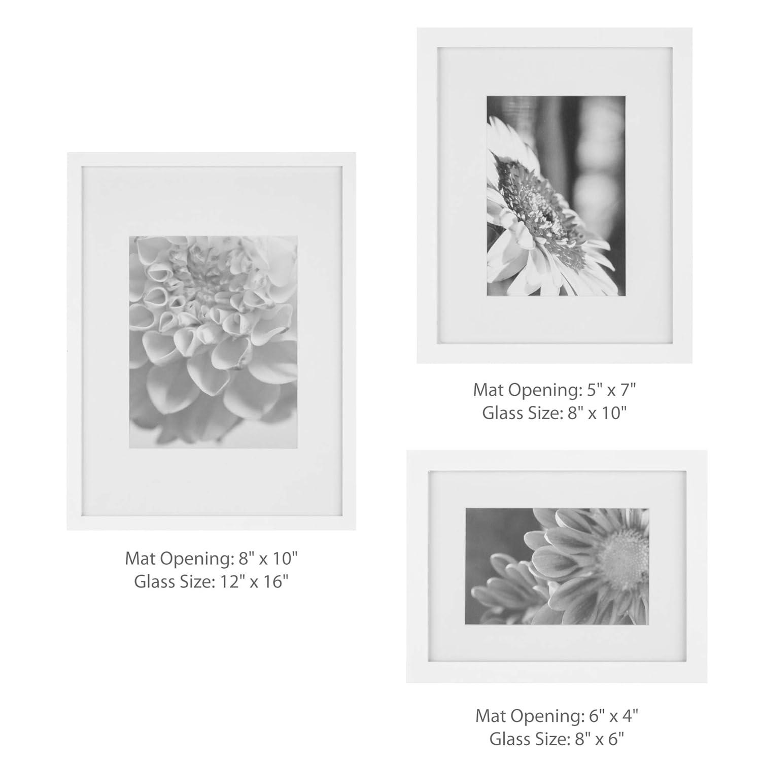 Gallery Wall Solid Wood Matted Picture Frame Kit - 7 Pieces with Two 8" x 10", Four 6" x 8", and One 12" x 16"