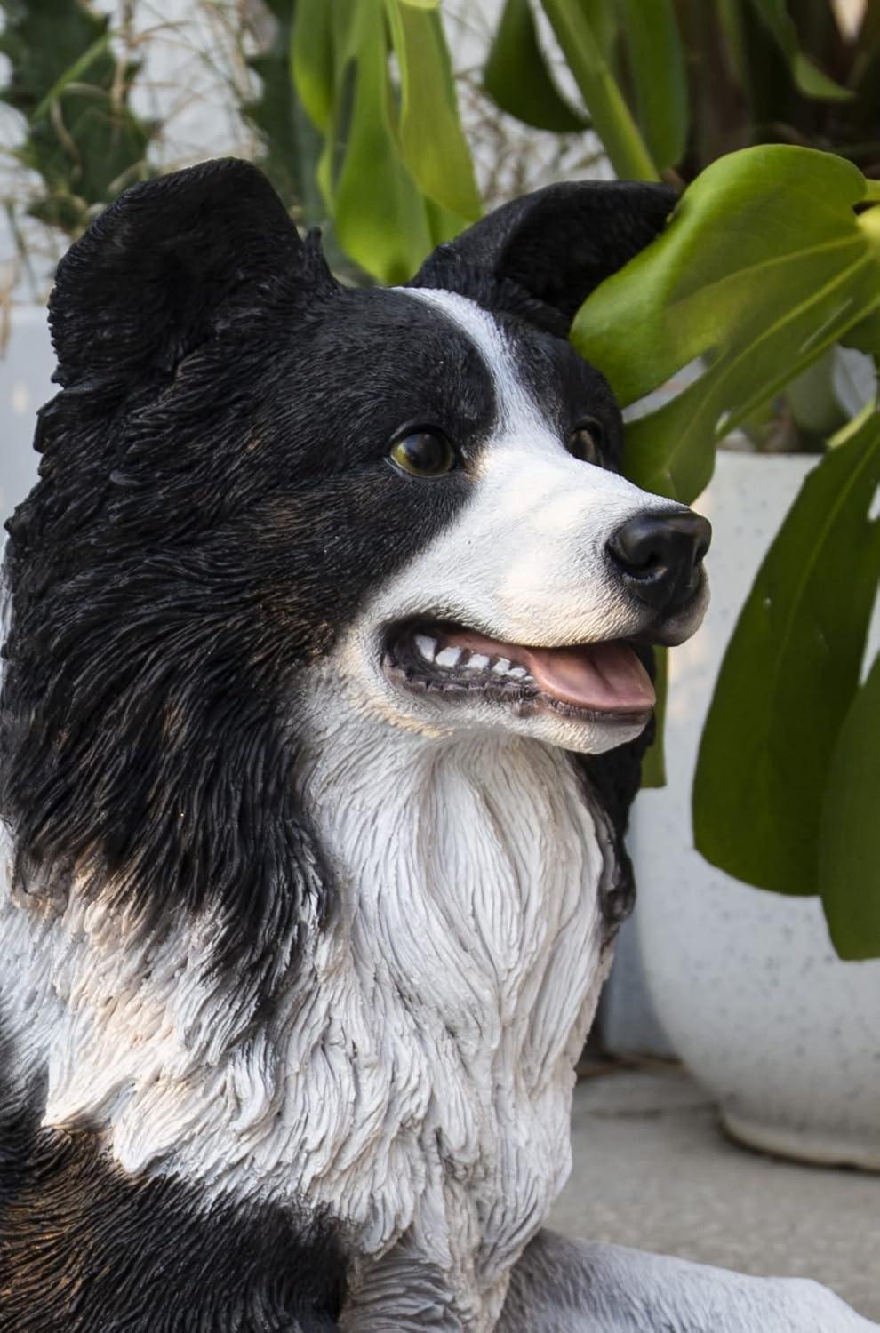 Lying Border Collie