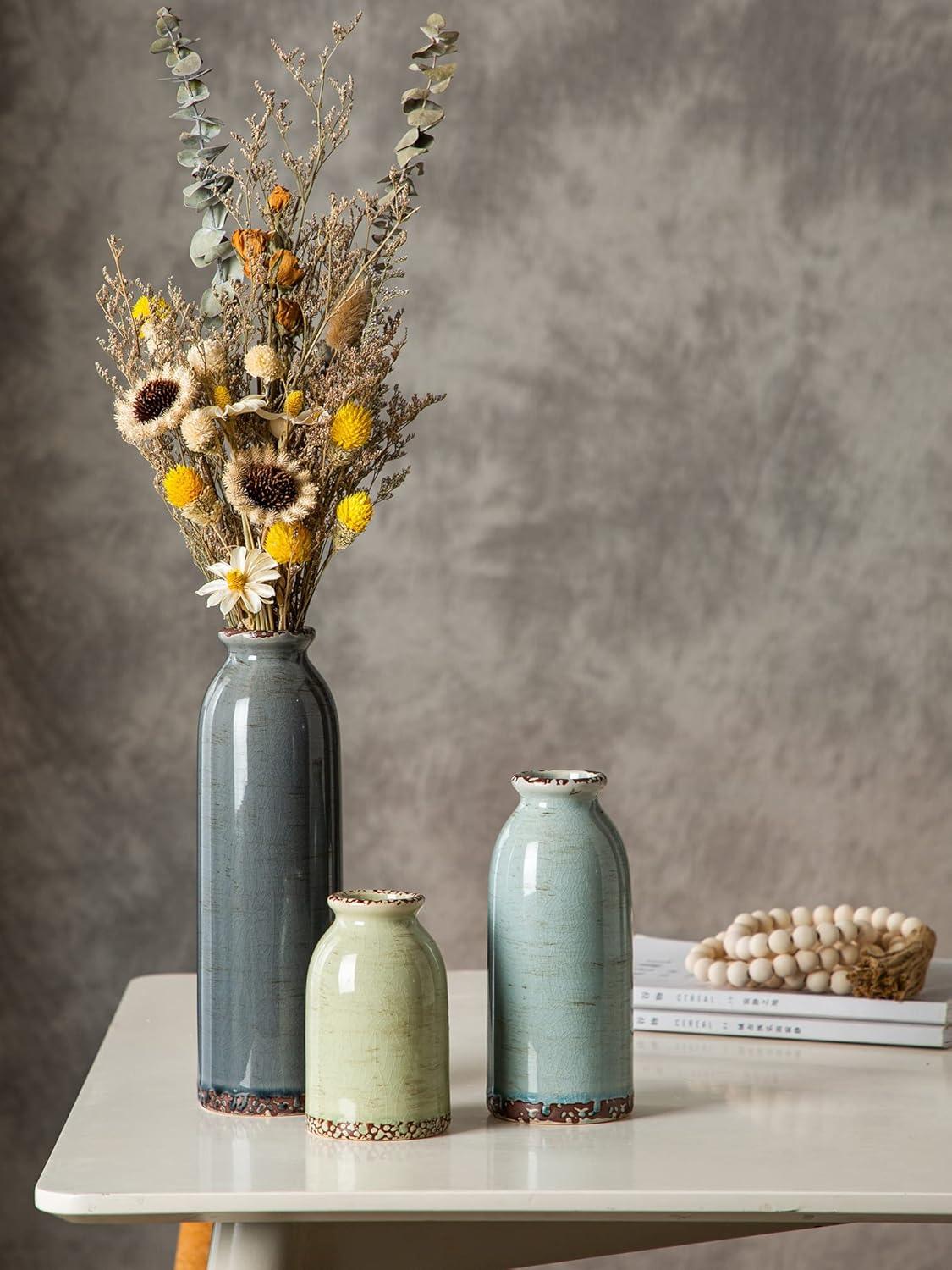 Multicolor Ceramic Bottle-Shaped Vase Set for Living Room Decor