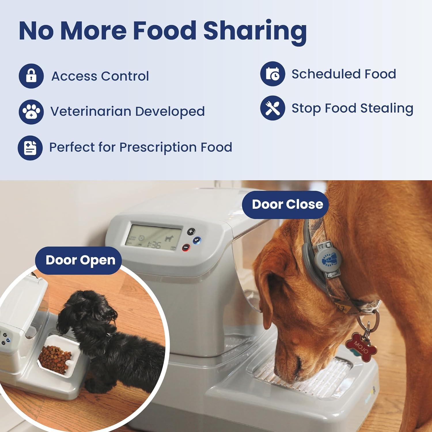 PortionPro Rx Automatic Pet Feeder with Active RFID Technology - Prevents Food Stealing, Perfect for Prescription Diets, Schedules Meals for Multiple Pets (Cats & Dogs)