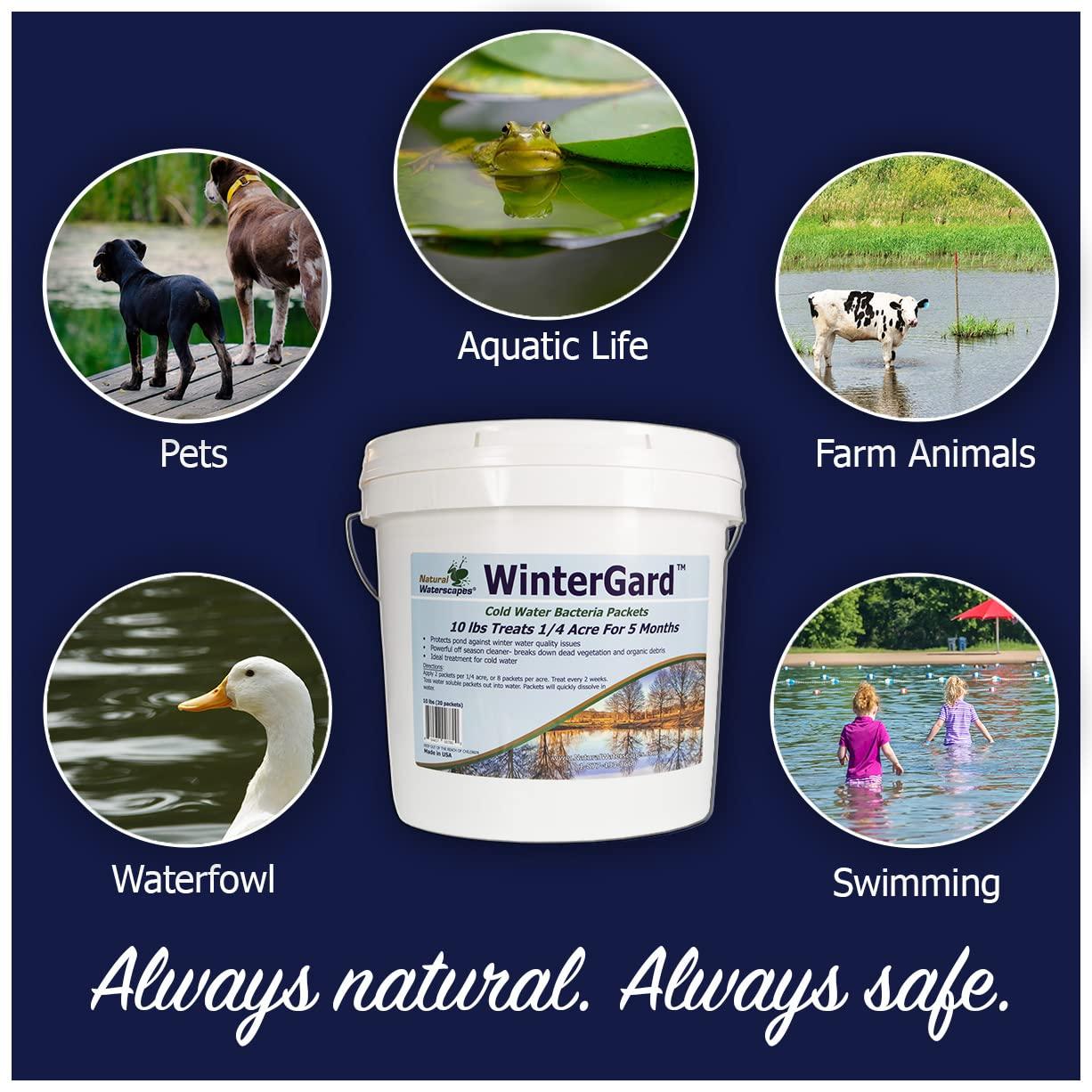 Natural Waterscapes WinterGard Cold Water Bacteria 10 lb Winter Pond Treatment