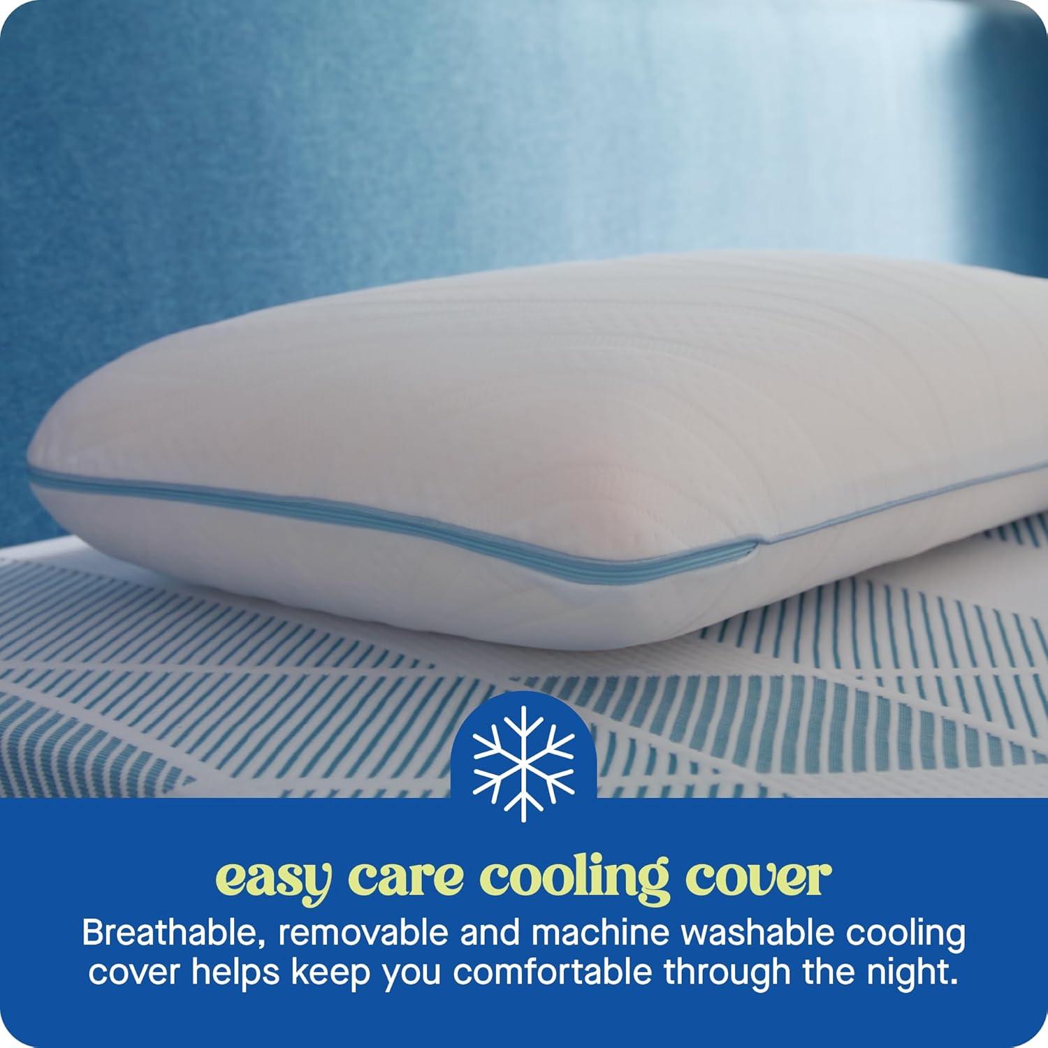 Sealy Dreamlife Memory Foam Pillow