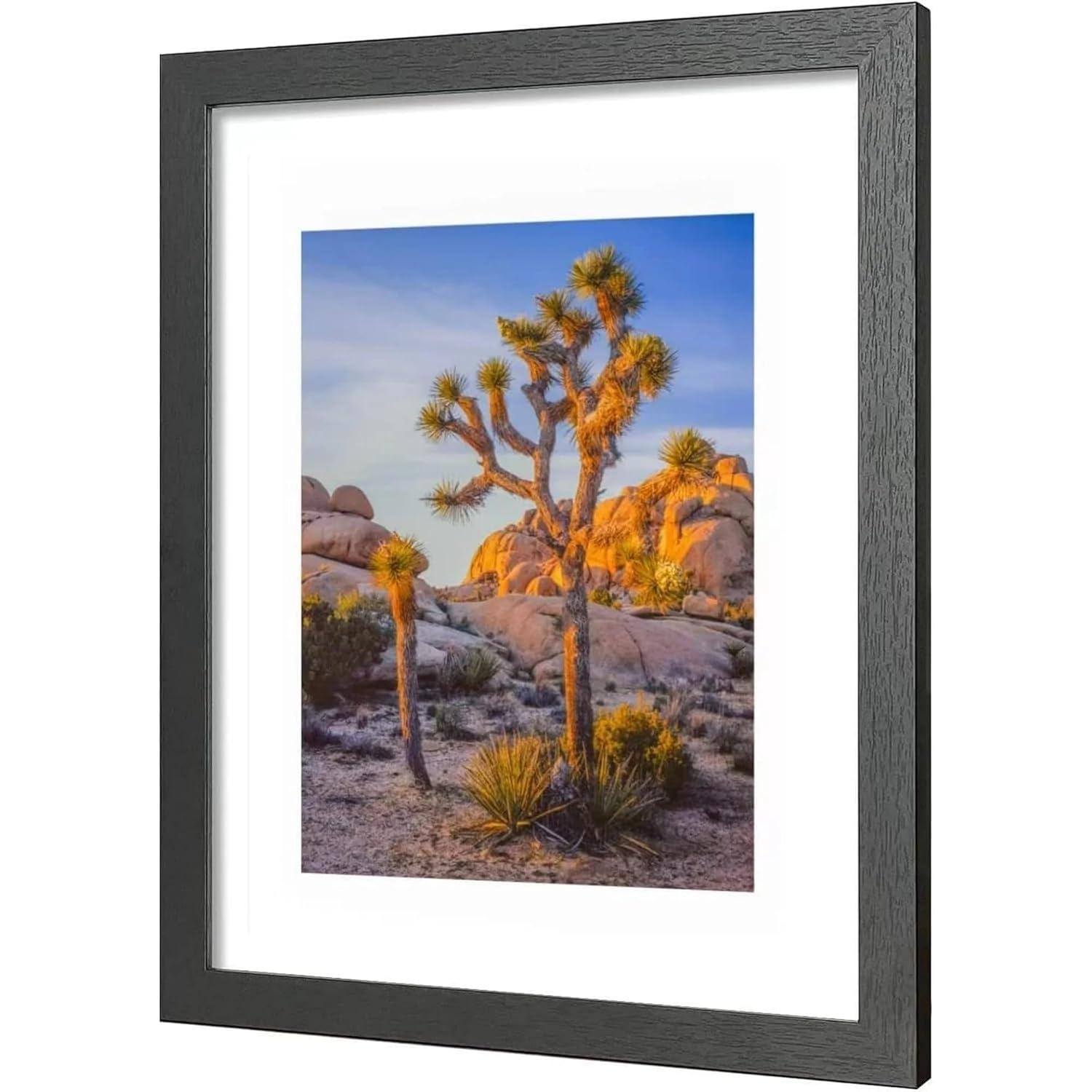 A PLUS MAX 20x24 Picture Frame with mat for 16x20 Picture with Polished Plexiglass Horizontal and Vertical Formats with Included Hanging Hardware-Black