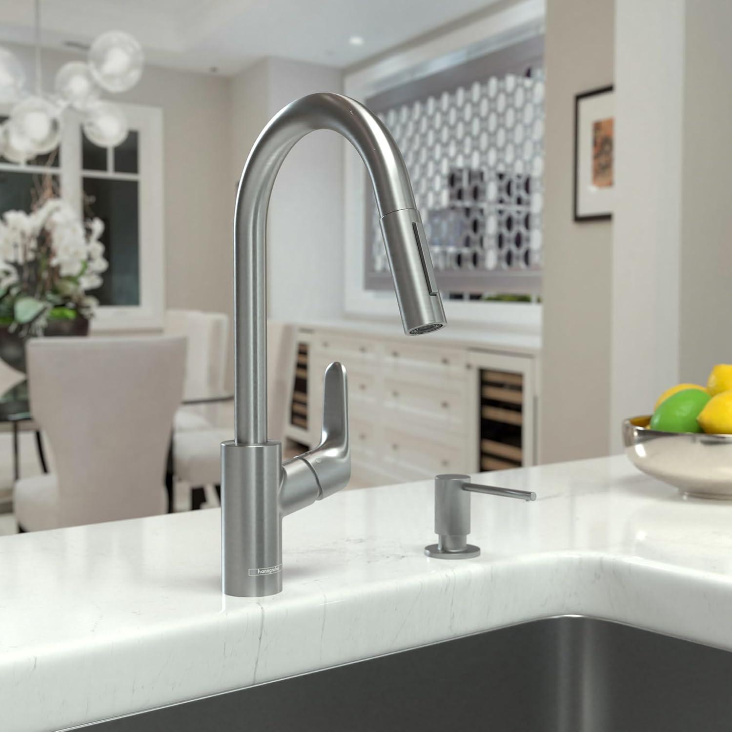 Focus Single Handle Kitchen Faucet