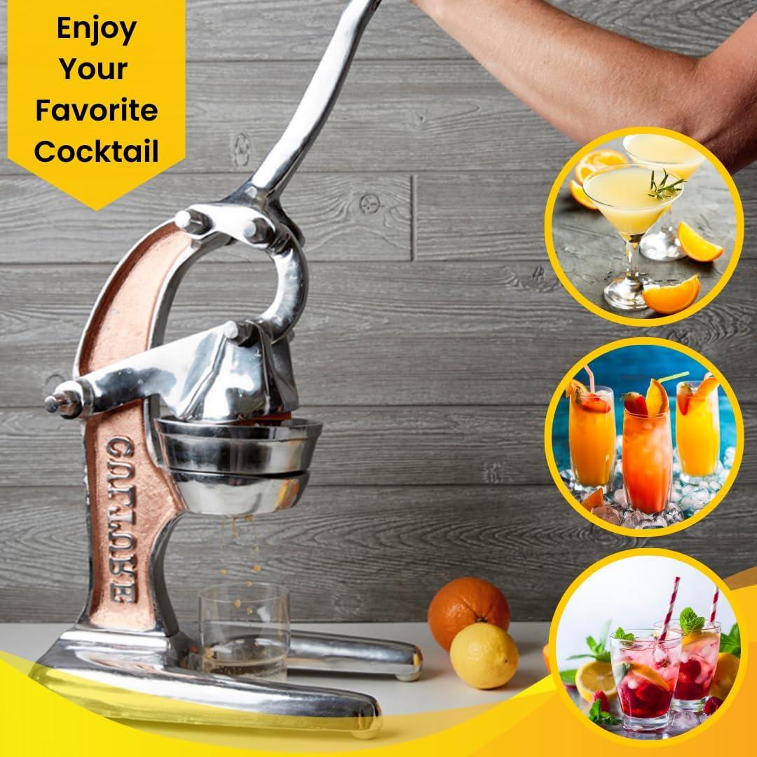 Verve Culture Countertop Citrus Juicer