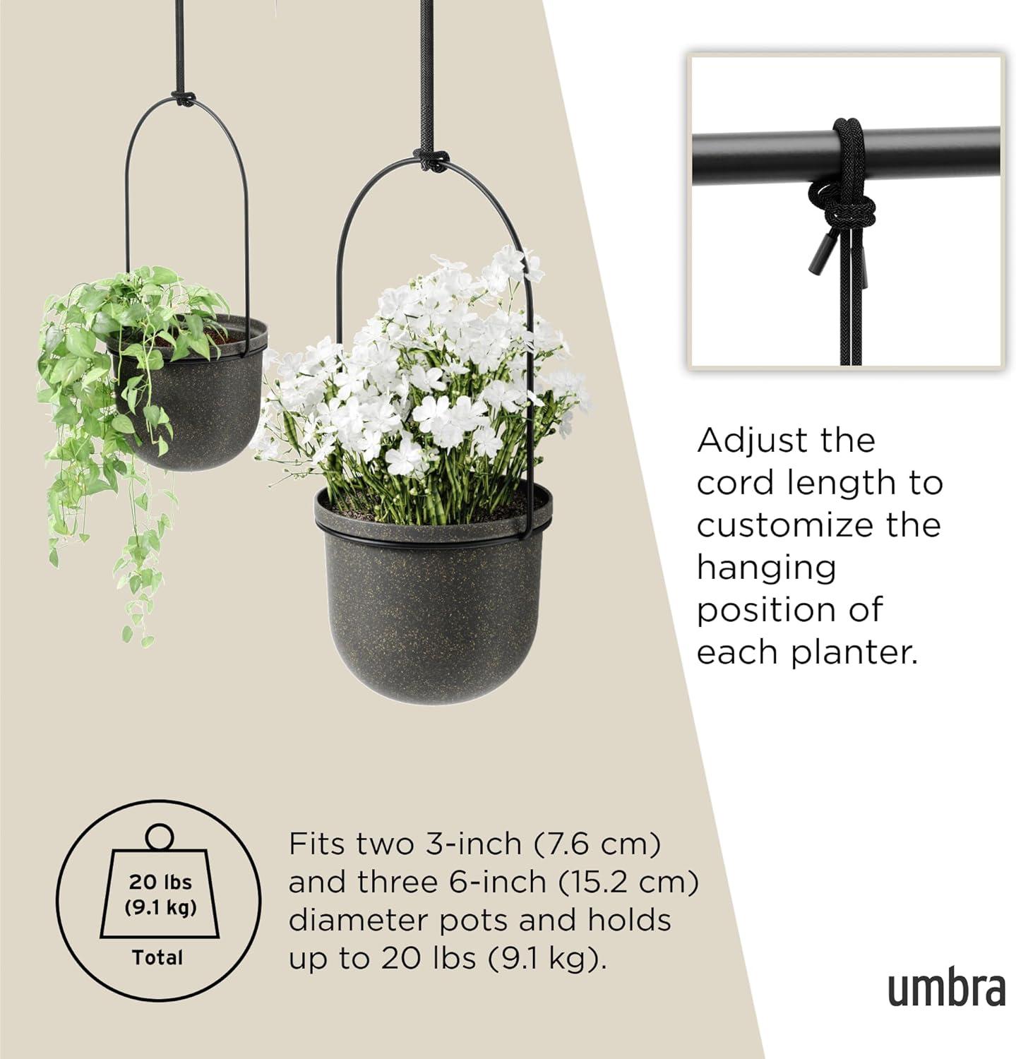 Triflora Large Hanging Planter