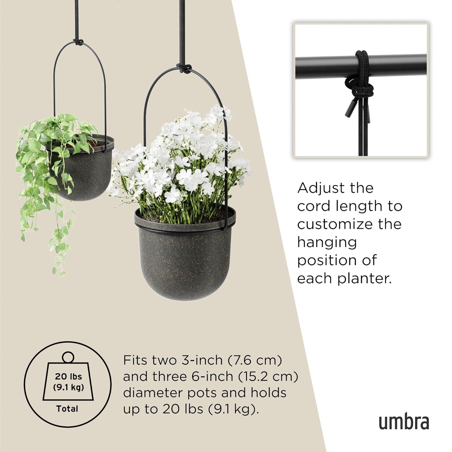 Triflora Large Hanging Planter