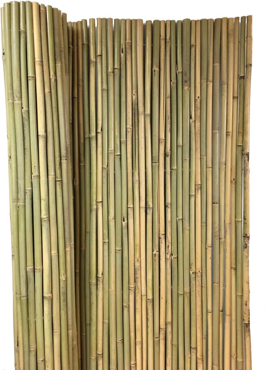 MGP Bamboo Border Fencing