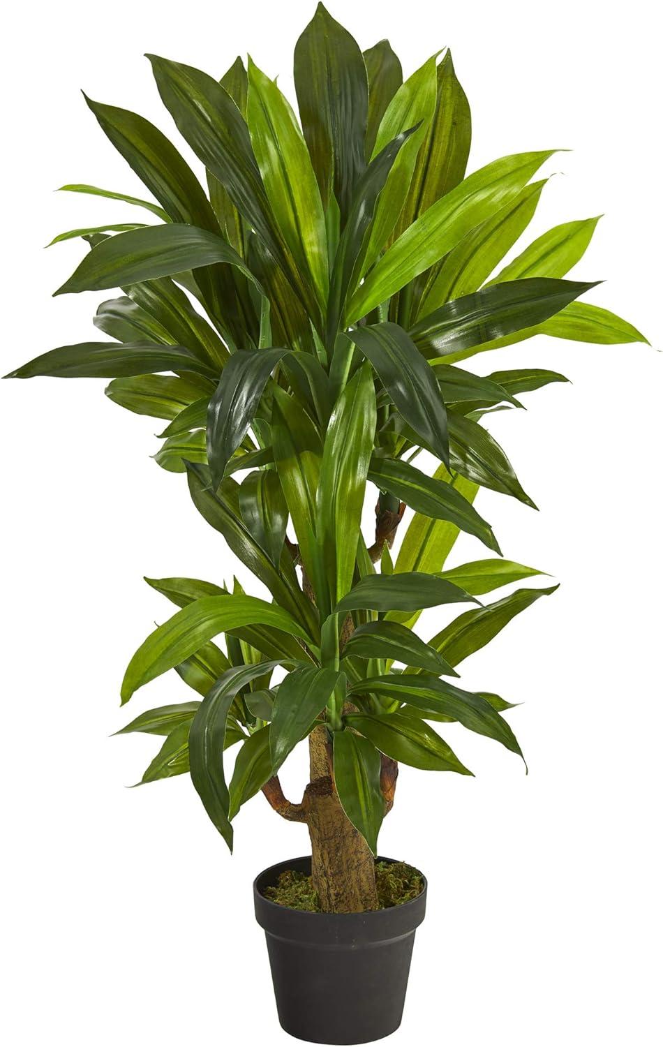 Nearly Natural 3-ft Corn Stalk Dracaena Artificial Plant (Real Touch)