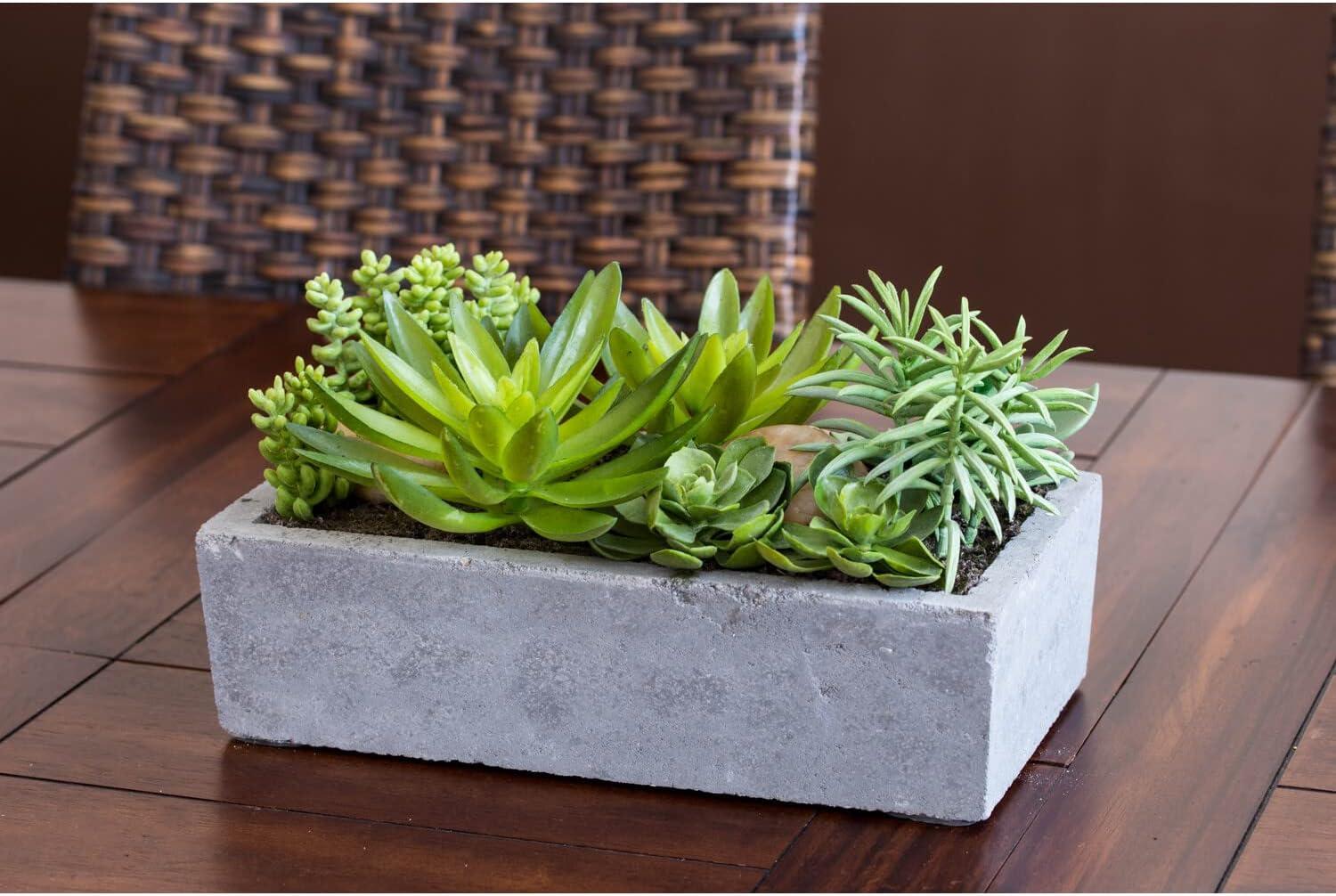 Nearly Natural Succulent Garden with Concrete Planter