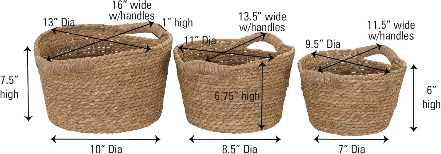 Cattail Woven Oval Wicker Storage Basket Trio in Brown