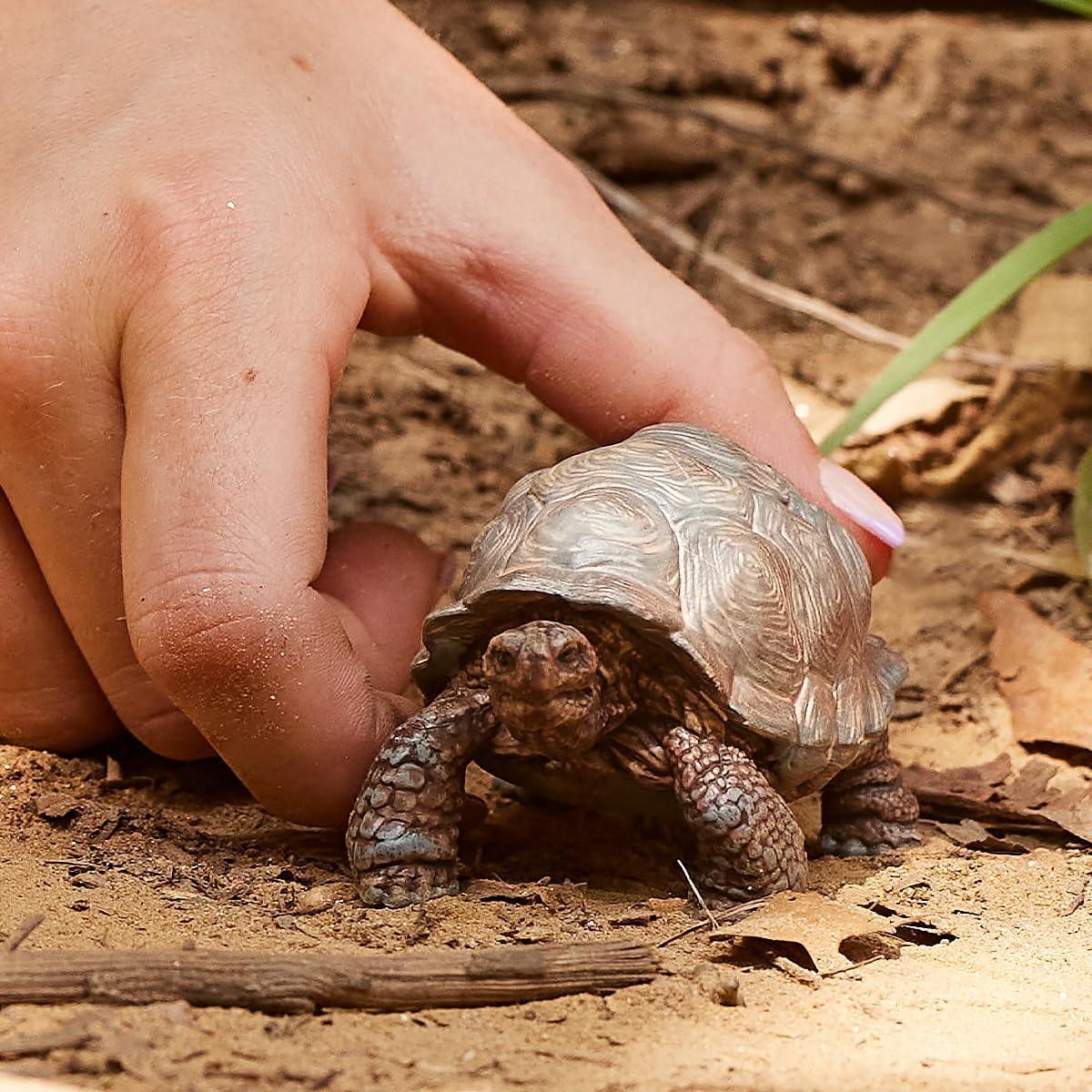 Schleich 9060819 Plastic Wild Life Giant Tortoise Toy, Beige & Brown - Pack of 5