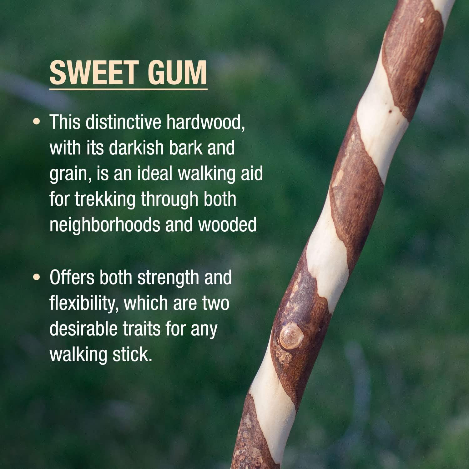 Brazos Twisted Sassafras Wood T-Handle Cane 37 Inch Height