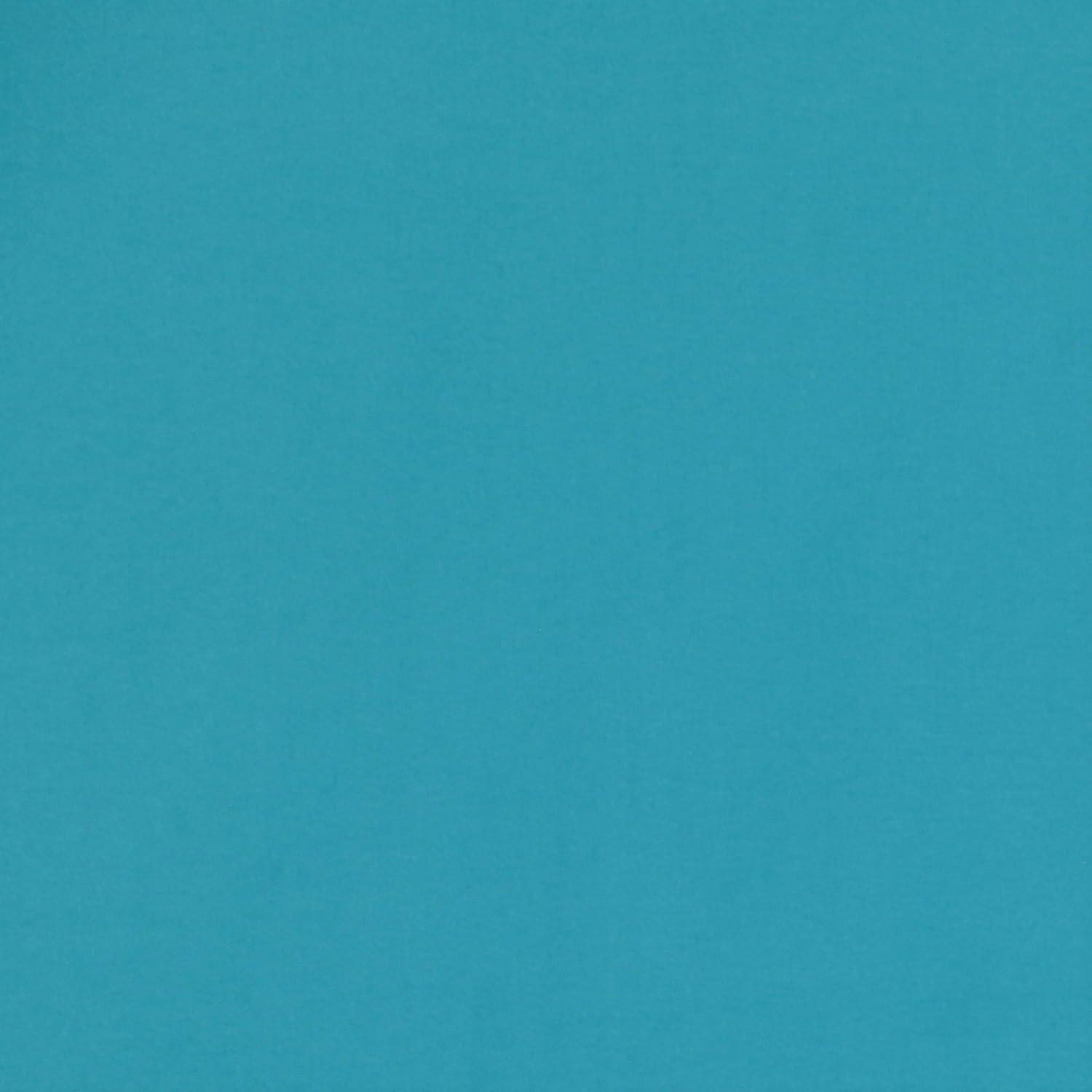 Eclipse Cadenza Microfiber Rod Pocket Panel Pair (2 Panels) (Set of 2)