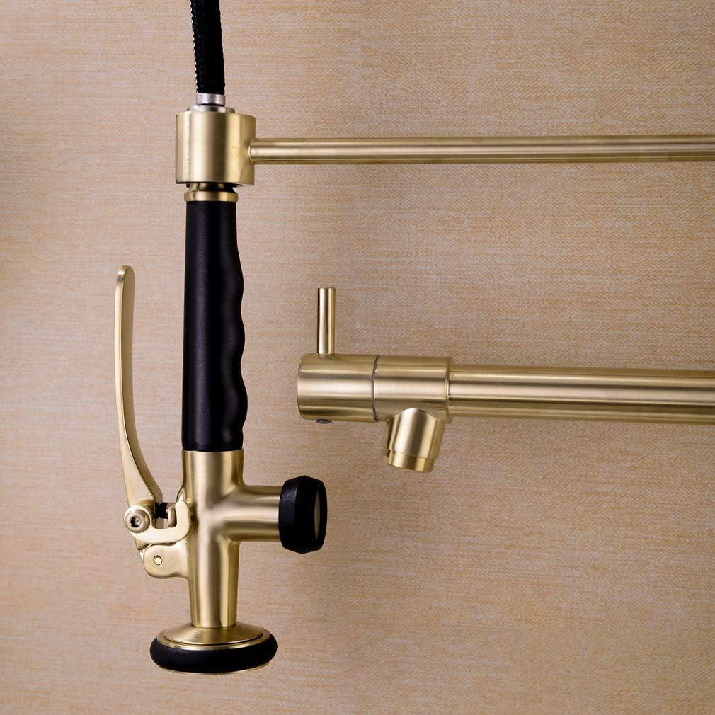 LOONGFIELD ASTARQ-W1932P172291 Kitchen Faucet Pull Down Sprayer Brushed Nickel,Single Handle Kitchen Sink Faucet