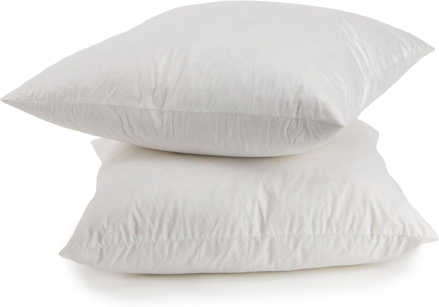 Feather Pillow Insert