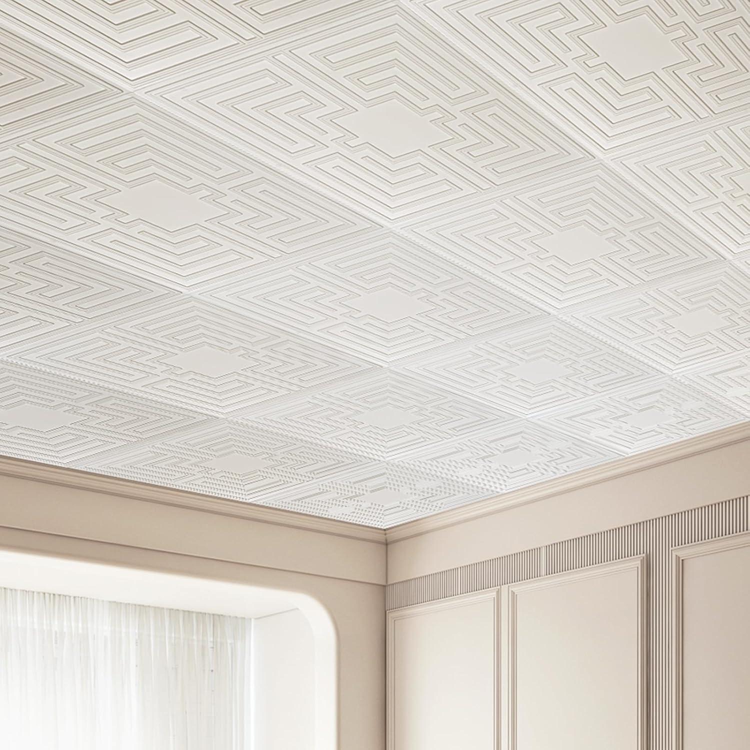 VEVOR Ceiling Tiles 12-Pack 24 x 24 in PVC Easy Installation White Echo Pattern (Set of 12)