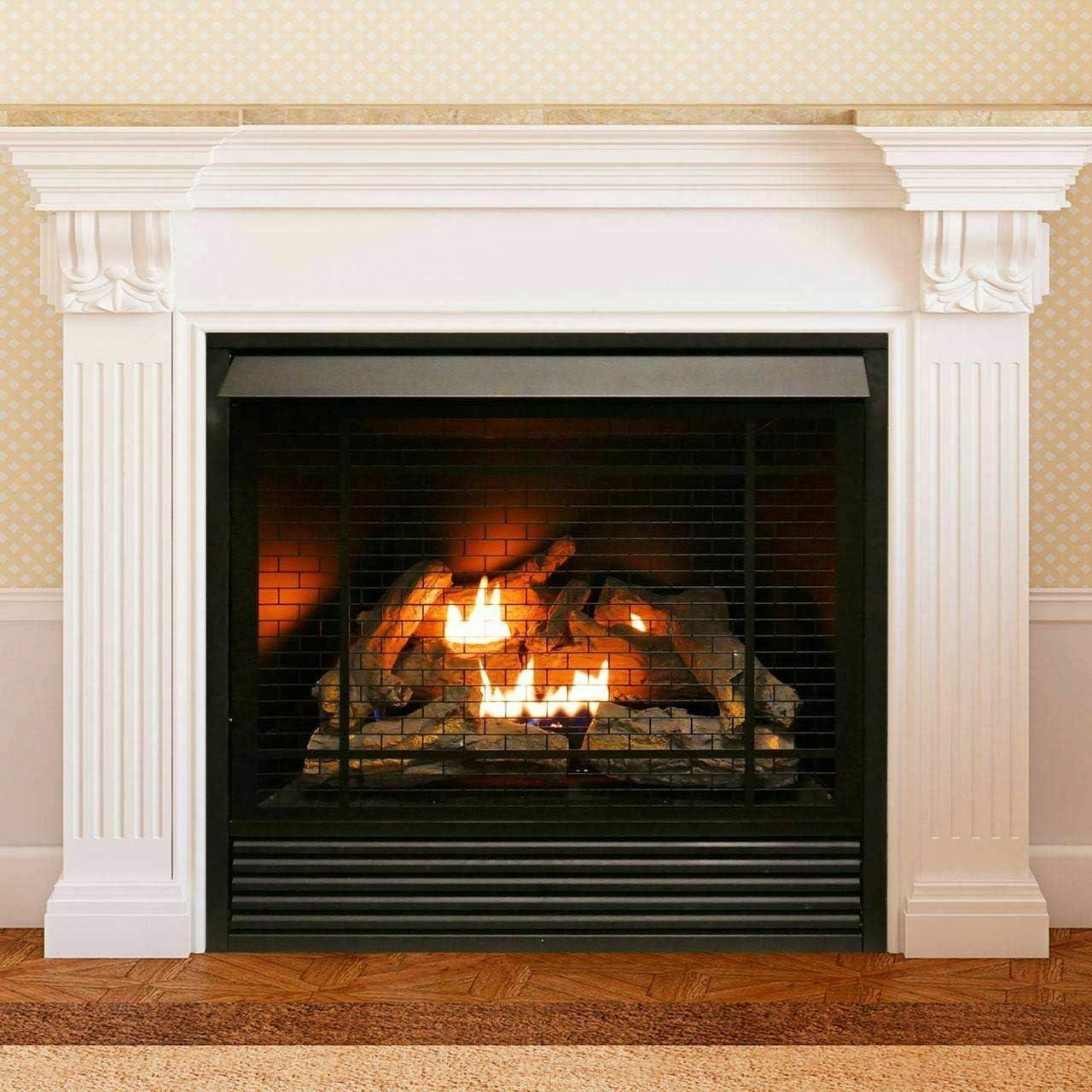 Duluth Forge Dual Fuel Ventless Fireplace Insert - 32,000 BTU, Remote Control FDI32R