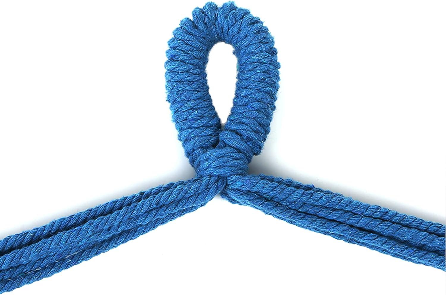 Blissun Hanging Hammock Chair, Hanging Swing Chair with Two Cushions, 34 Inch Wide Seat Blue & Green Stripes (Seaside Stripe)