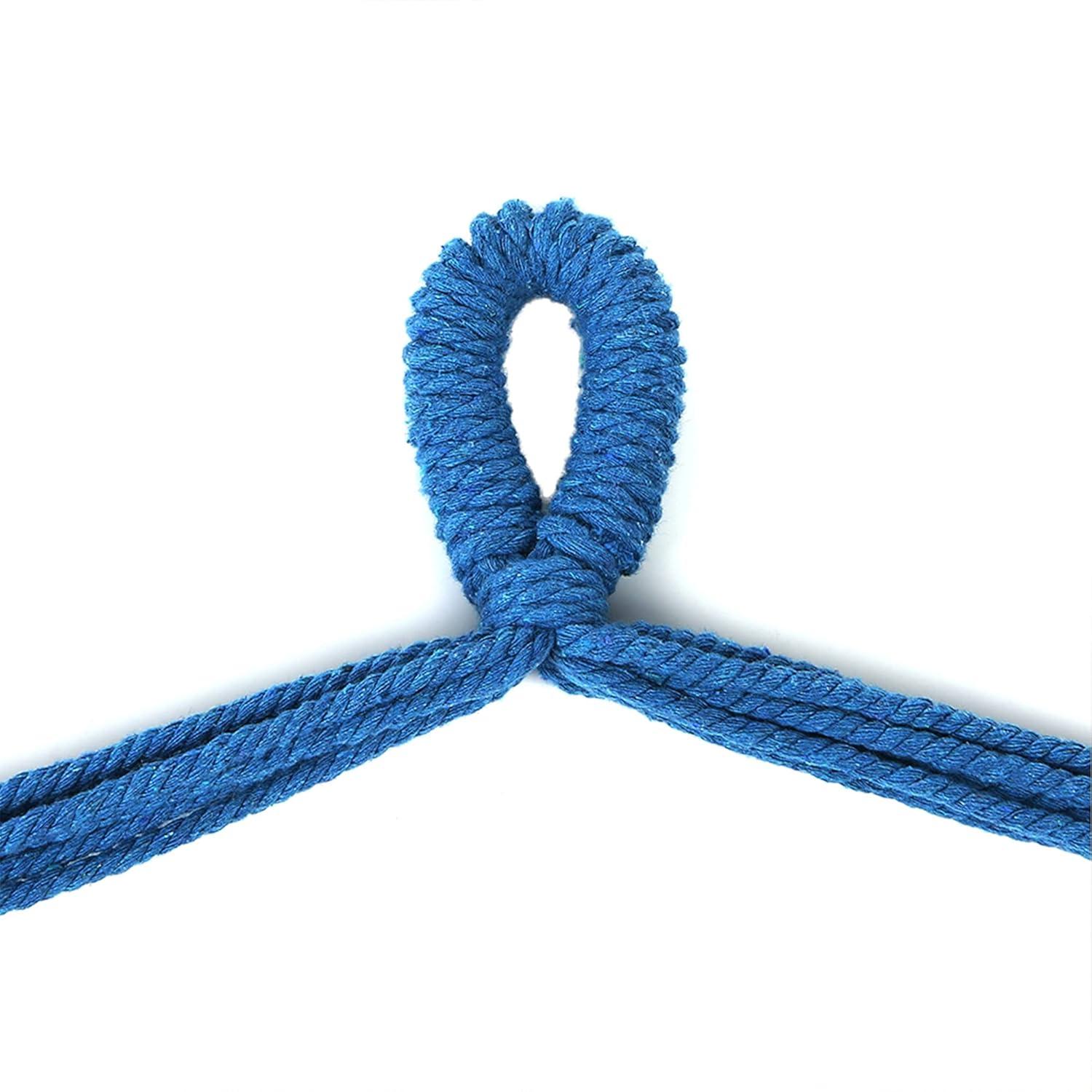 Blissun Hanging Hammock Chair, Hanging Swing Chair with Two Cushions, 34 Inch Wide Seat Blue & Green Stripes (Seaside Stripe)