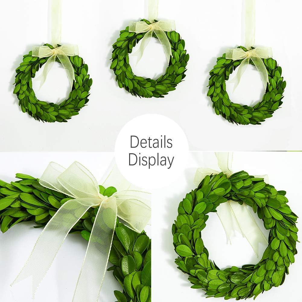 Mini 6-Inch Preserved Boxwood Wreaths with Mesh Ribbon