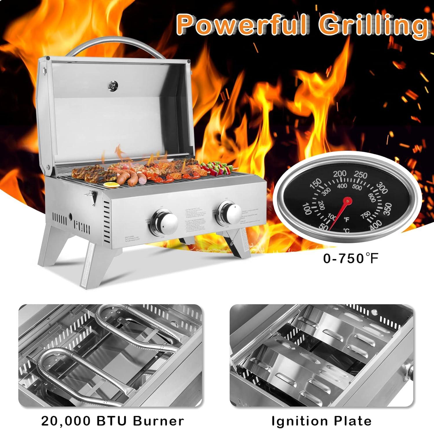 Stainless Steel 2-Burner Portable Propane Gas Grill