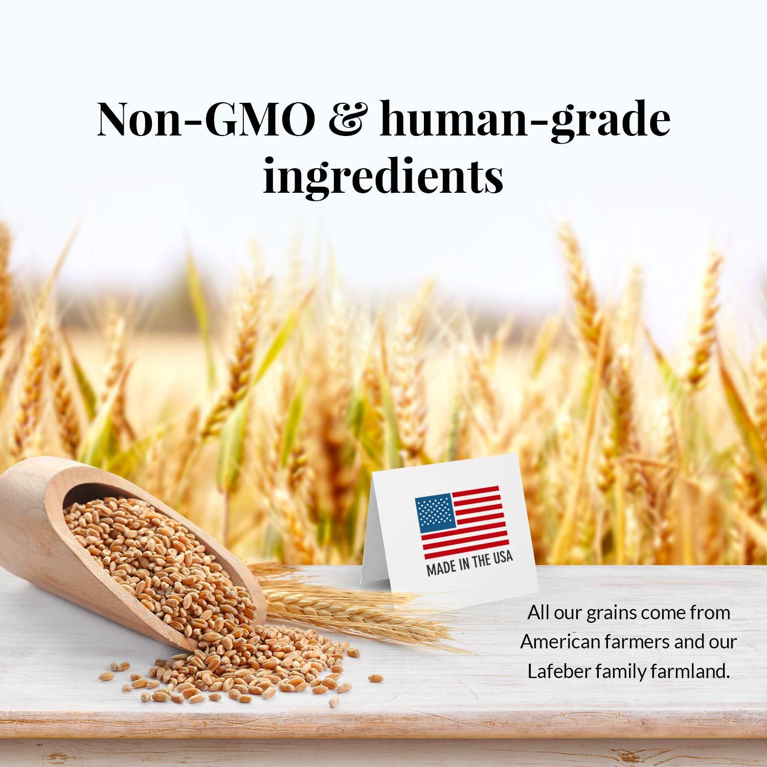 LAFEBER'S Premium Daily Diet Pellets Pet Bird Food, Made with Non-GMO and Human-Grade Ingredients, for Parrots, 25 lb