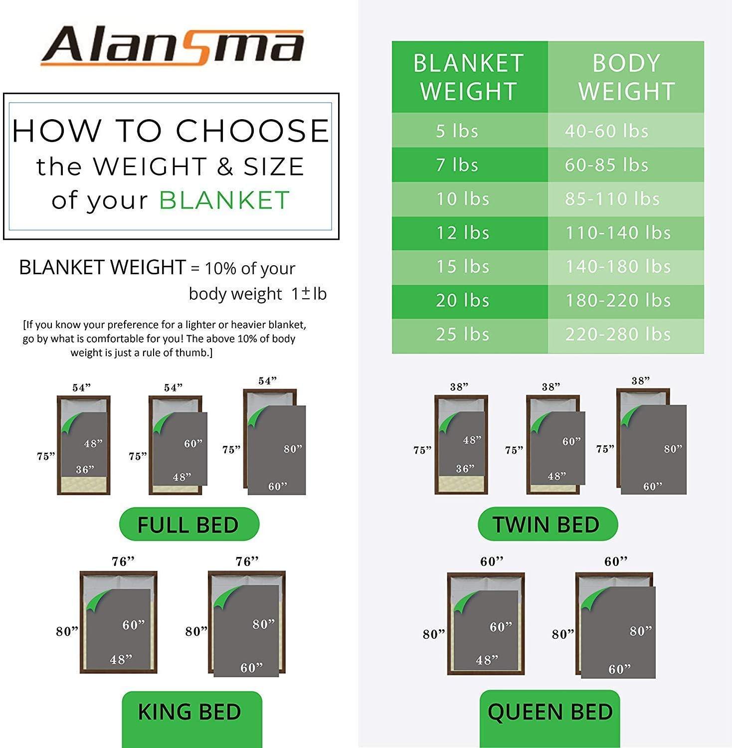 ALANSMA Weighted Blanket for All Season, Luxury Velvet, Warm and Cool, Adult Kids Reversible 15Lb Weighted Blanket, Enjoy Sleeping Anywhere(Pink,60"x80" 15lbs)