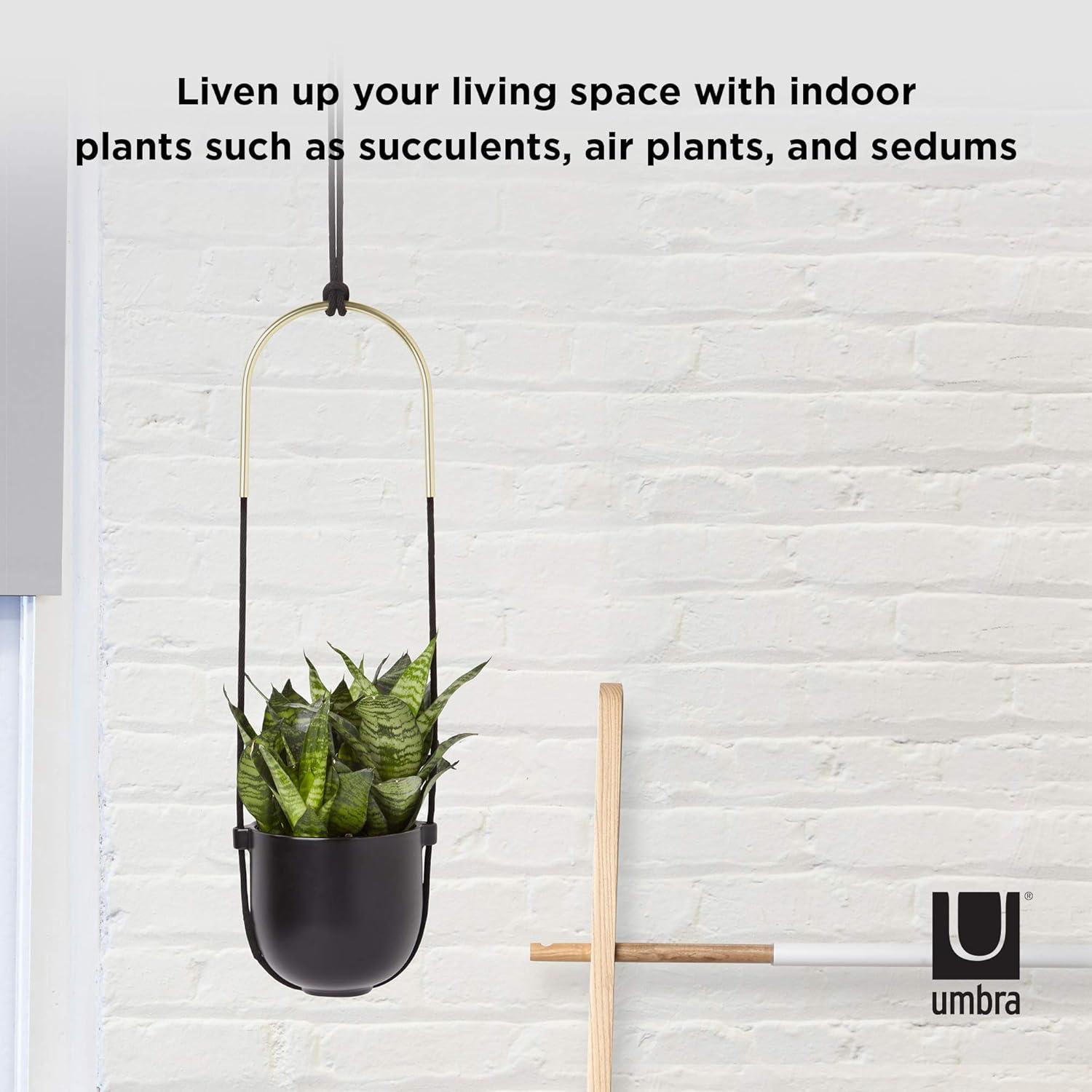 Bolo Soft Curve Black Ceramic Indoor/Outdoor Hanging Planter