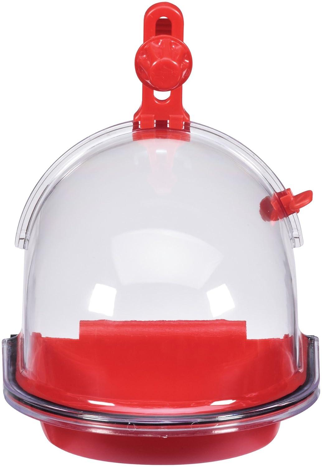 JW Insight Bird Bath