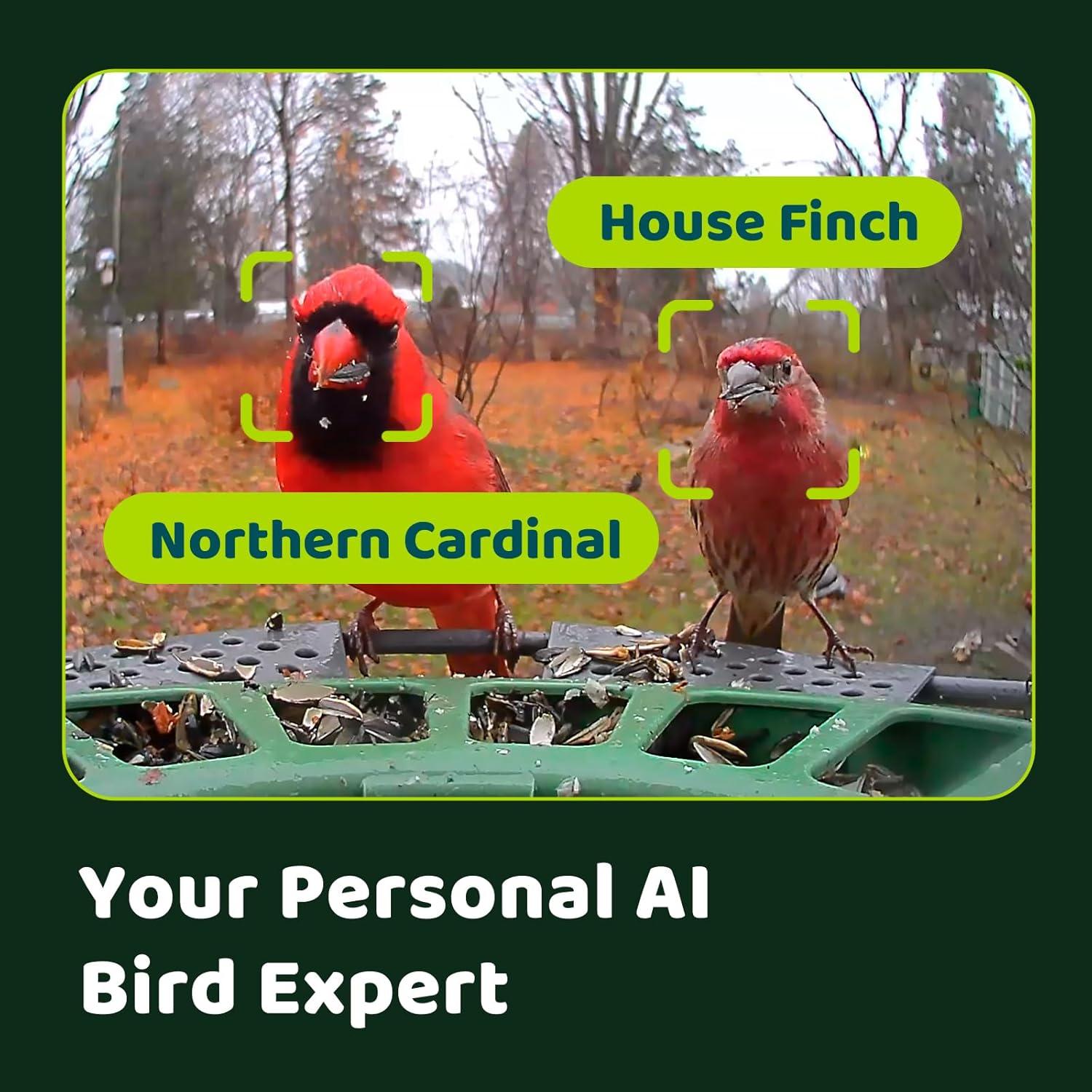 Birdfy Birdfy 2 Smart Bird Feeder with Camera, Dual-Lens, Solar-Powered, Wireless Installation, Auto-Capture Bird Videos & Motion Detection, Gift Present