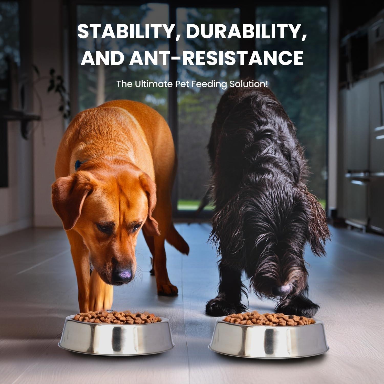 Anti Ant Pet Single Bowl