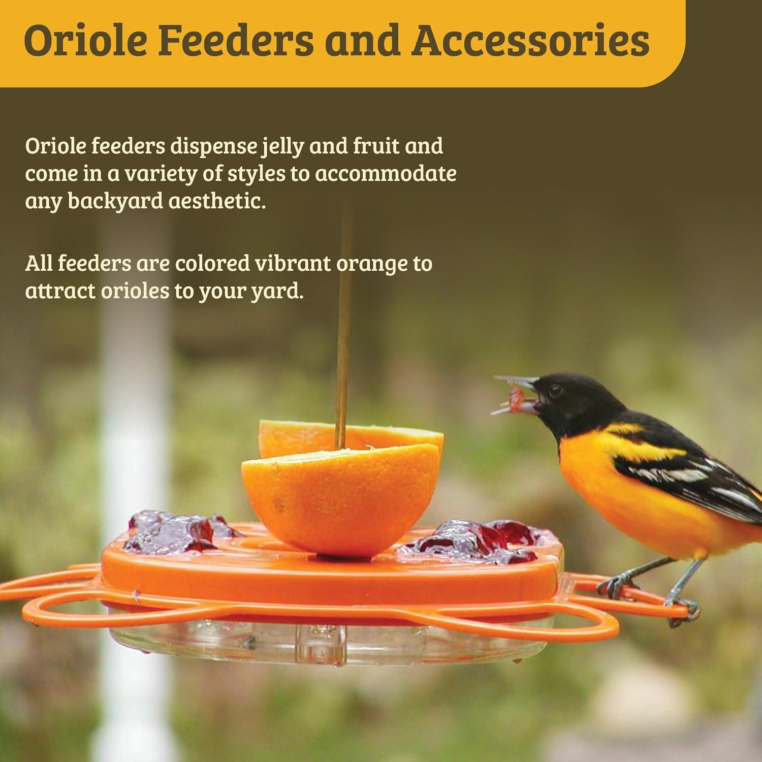 Oriole Feeder Flower Shape for Oranges and Jelly