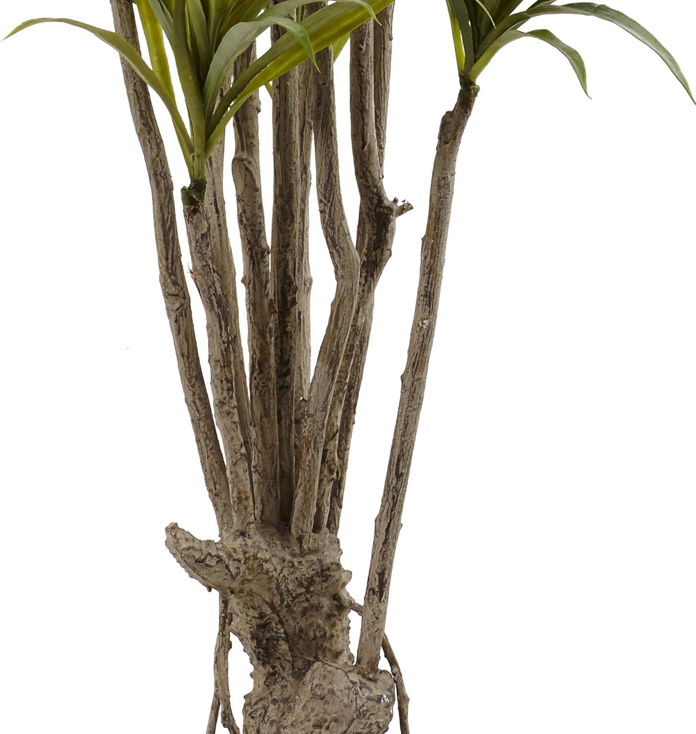 Tropical Dracaena Silk Tree in Plastic Pot - 63" High