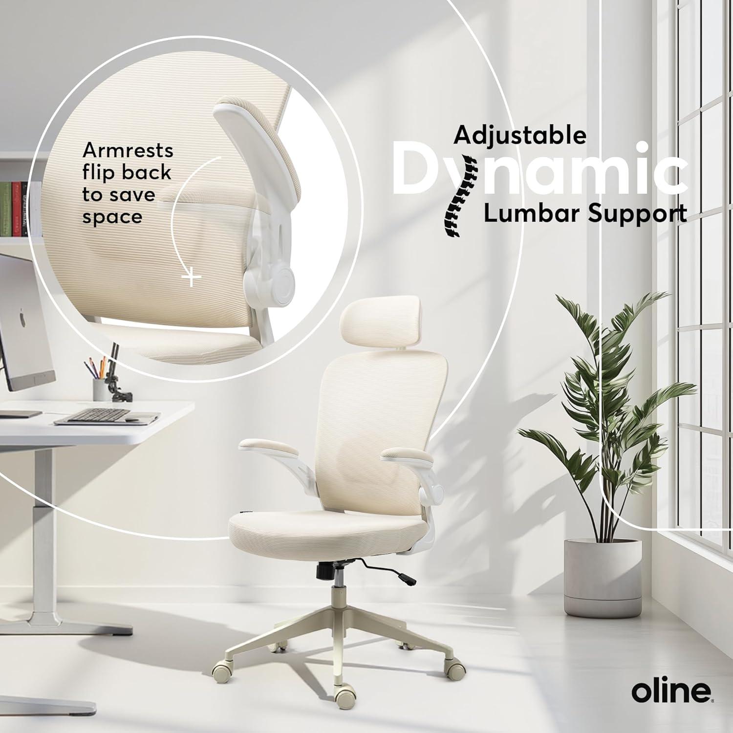 Oline Oline ErgoAir Ergonomic Office Chair – Adjustable Lumbar Support, Flip-Up Armrests, Mesh Computer Desk Chair, Swivel Rolling Executive Gaming Chair for Home & Office