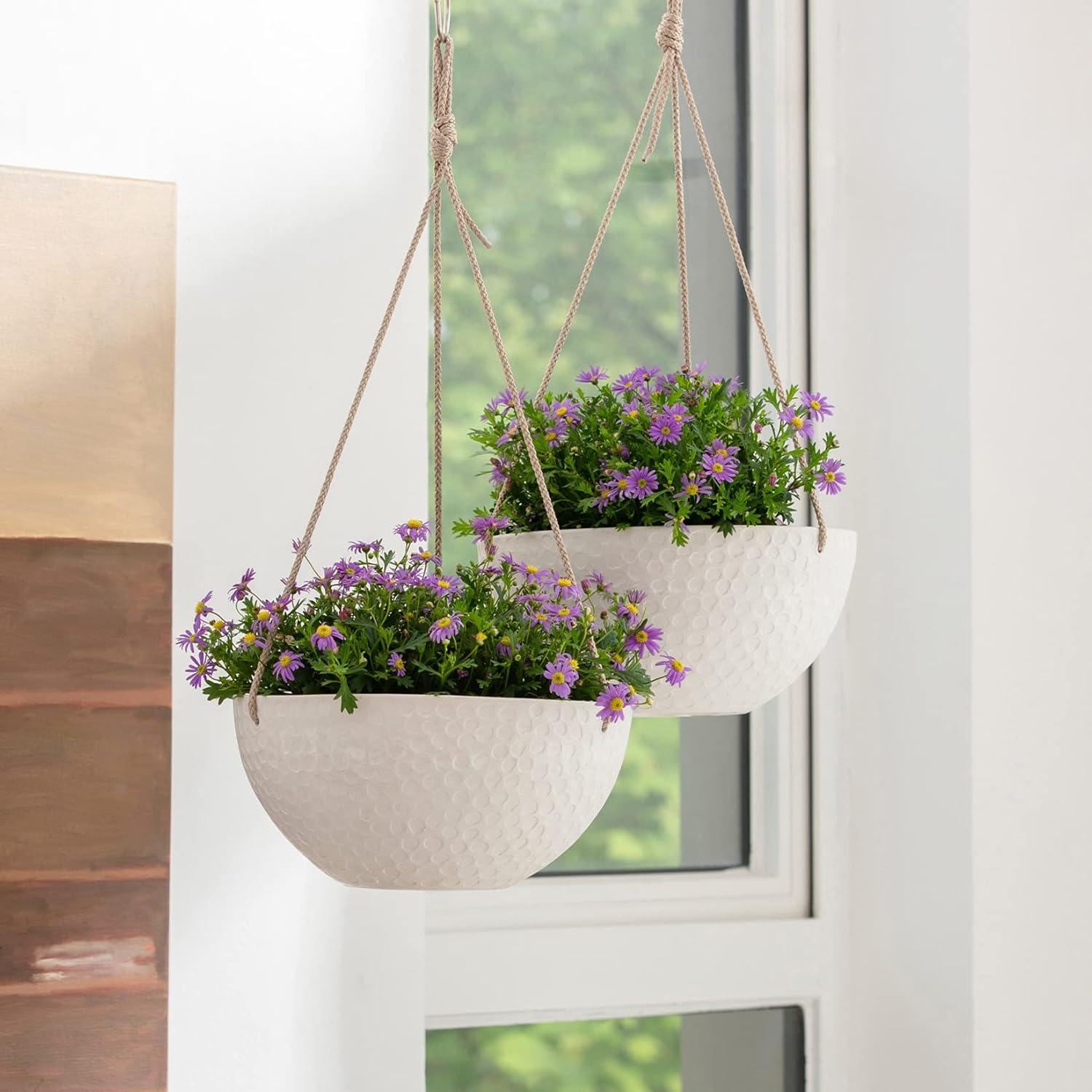 Boxdale Hanging Planter - Set of 2 (Set of 2)