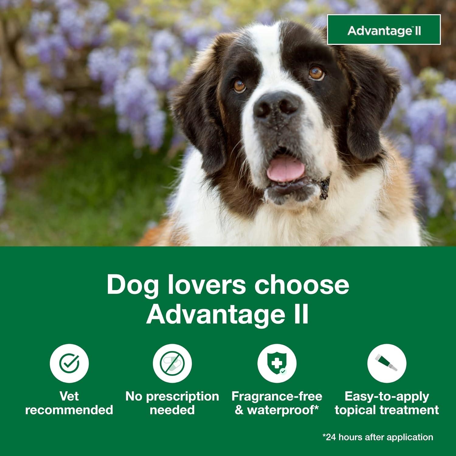 Advantage II Vet-Recommended Flea Prevention for XL Dogs 55 lbs+, 6-Monthly Treatments