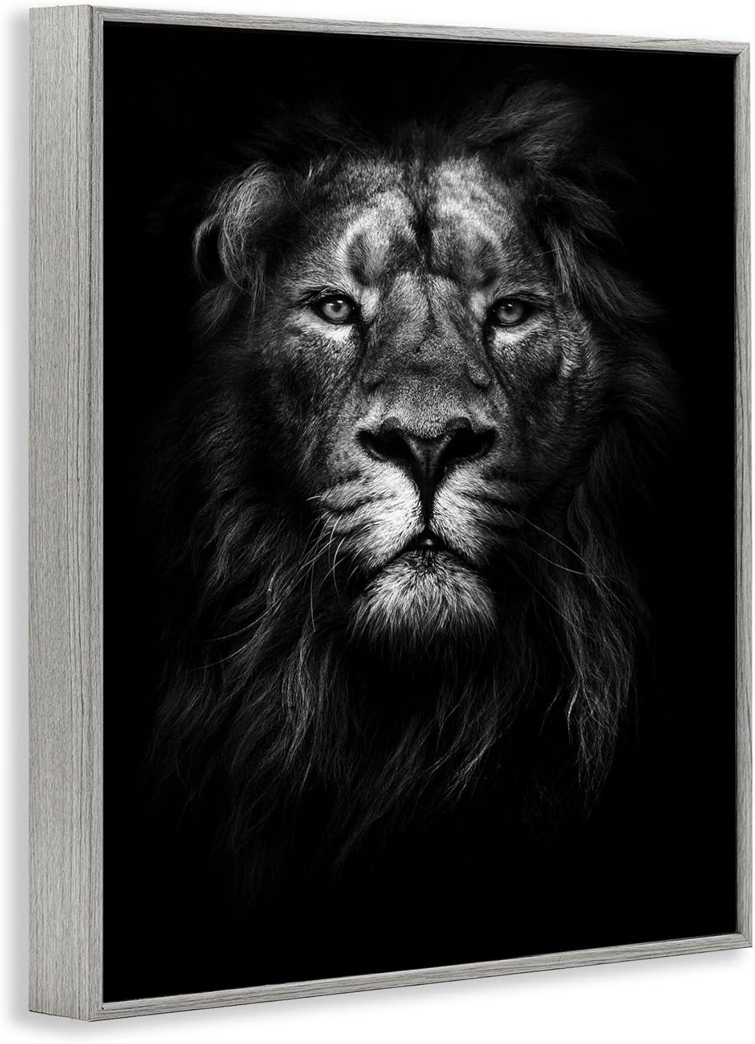 Stupell Industries King of the Jungle Lion In Shadows Black and White Photography, 16 x 20,Design by Design Fabrikken