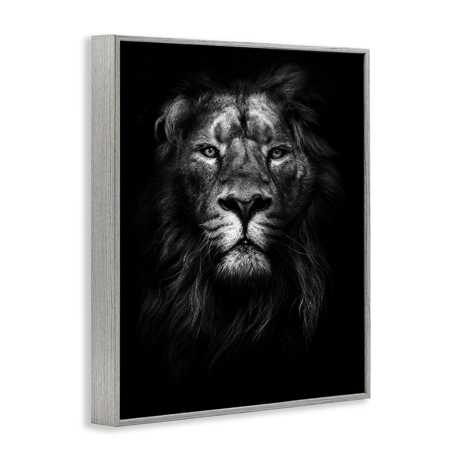 Stupell Industries King of the Jungle Lion In Shadows Black and White Photography, 16 x 20,Design by Design Fabrikken