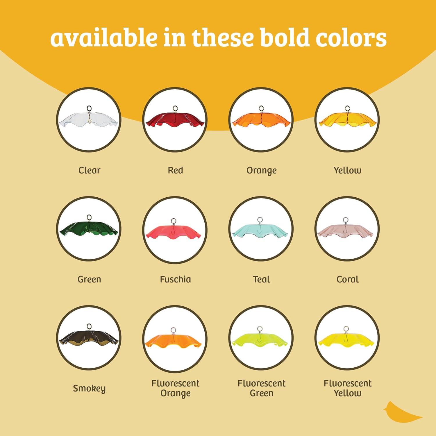 Birds Choice Birds Choice 13" Color Pop Collection Acrylic Bird Feeder Scalloped Weather guard