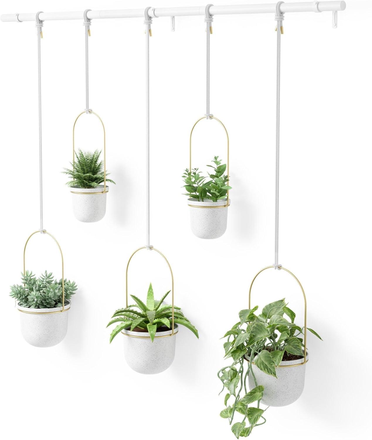 Triflora Adjustable White/Brass Indoor/Outdoor Hanging Planter