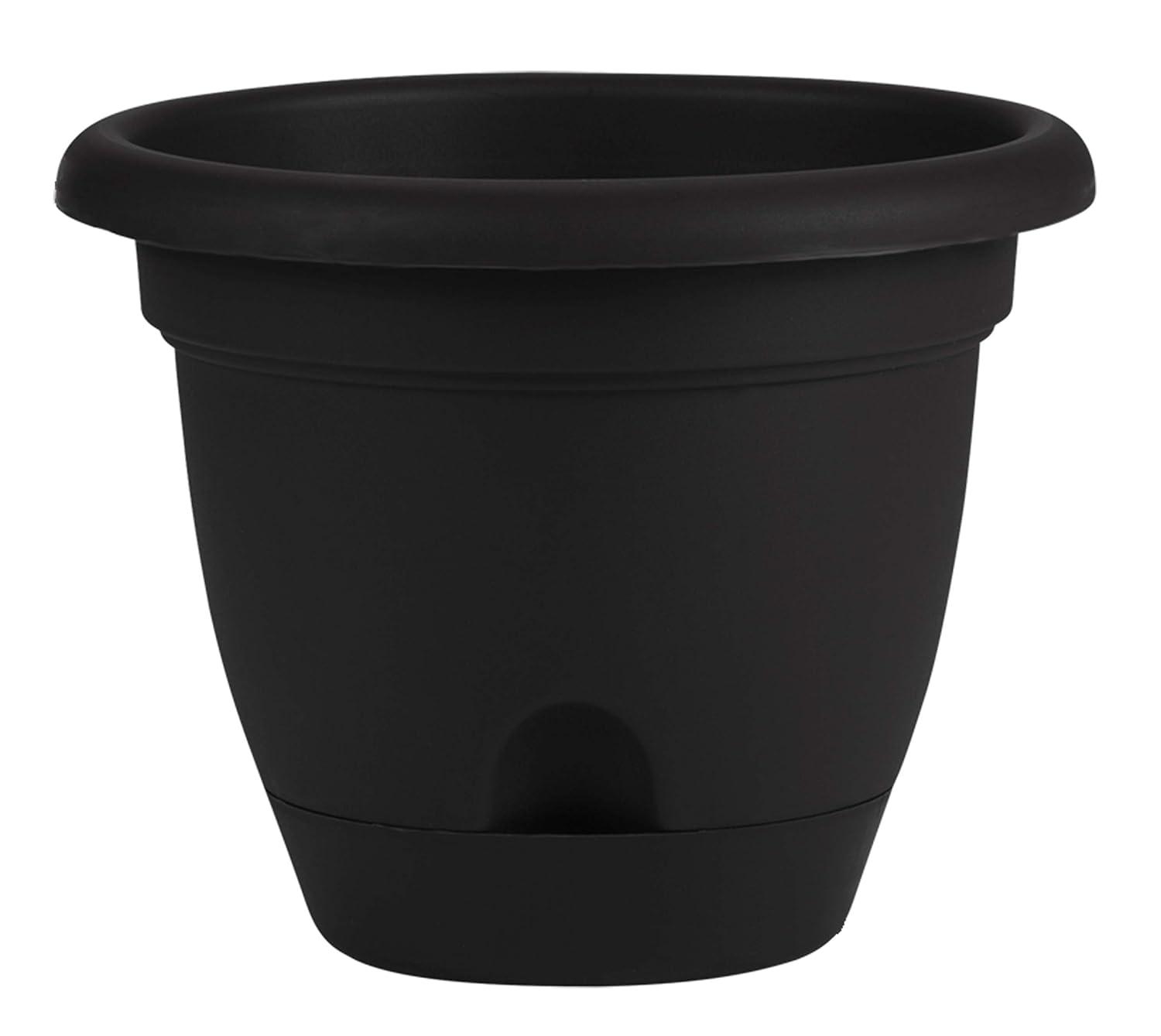 Bloem Lucca 8.8 in. H X 11 in. D Resin Planter Black