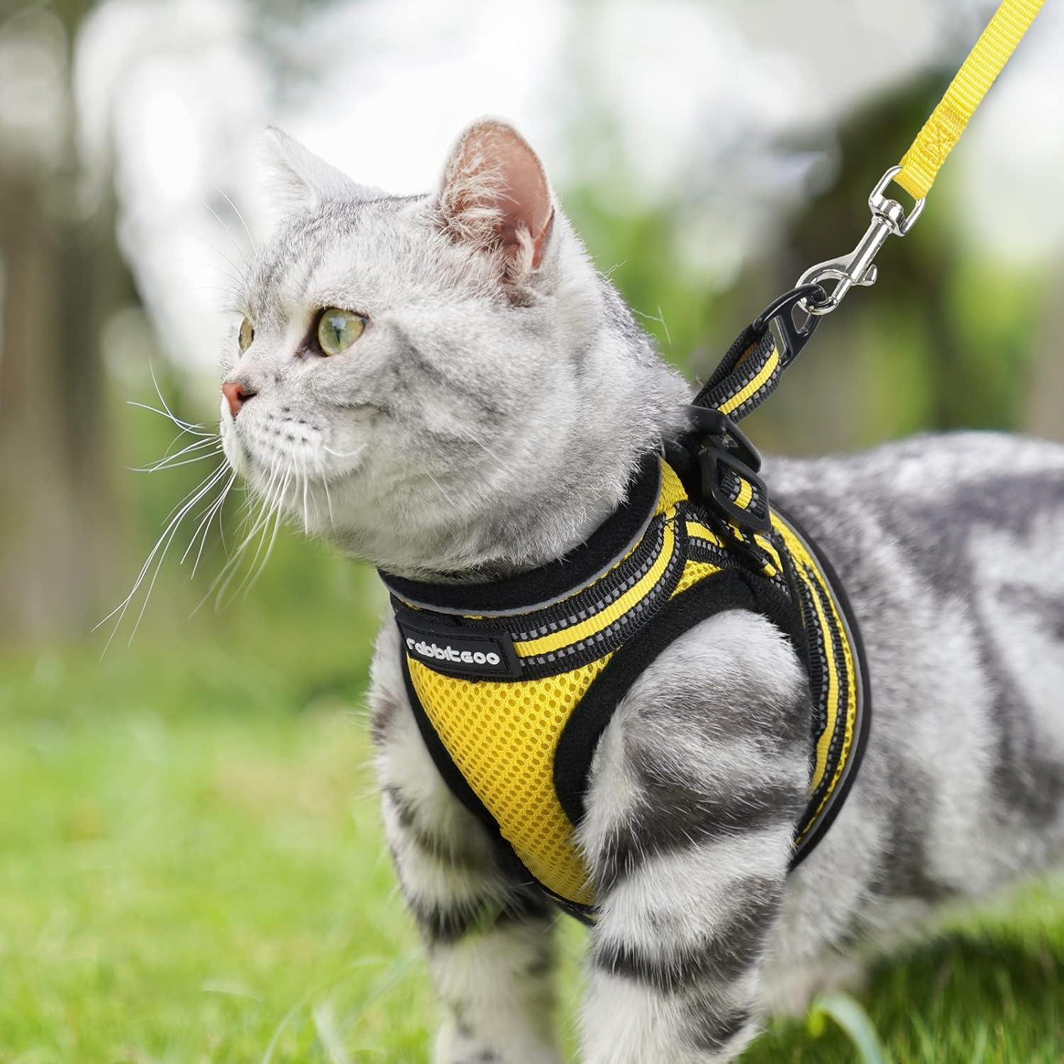 rabbitgoo Cat Harness and Leash Set for Walking Escape Proof, Adjustable Soft Kittens Vest with Reflective Strip for Small Cats, Comfortable Outdoor Vest, Yellow