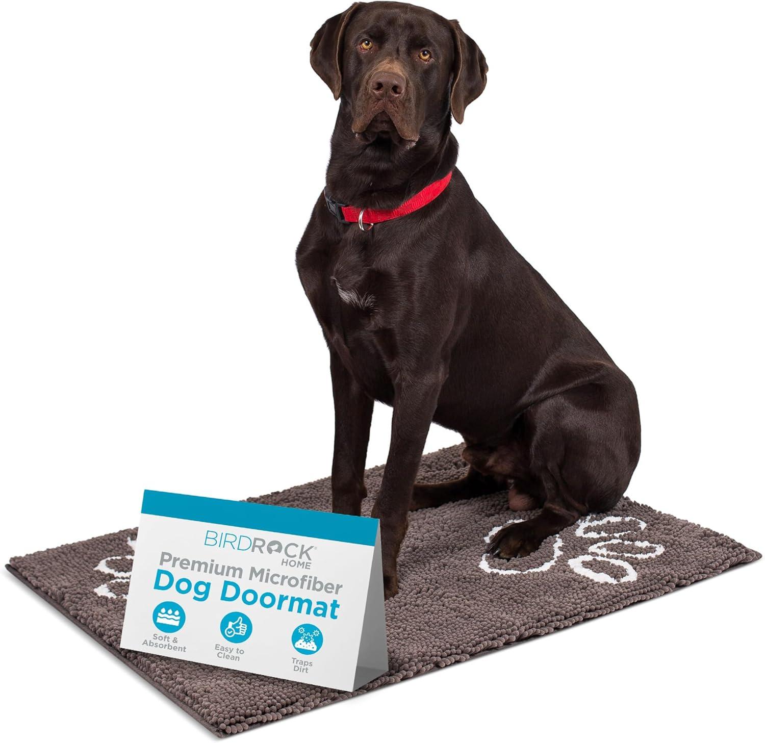 BirdRock Home Non-Slip Indoor Doormat