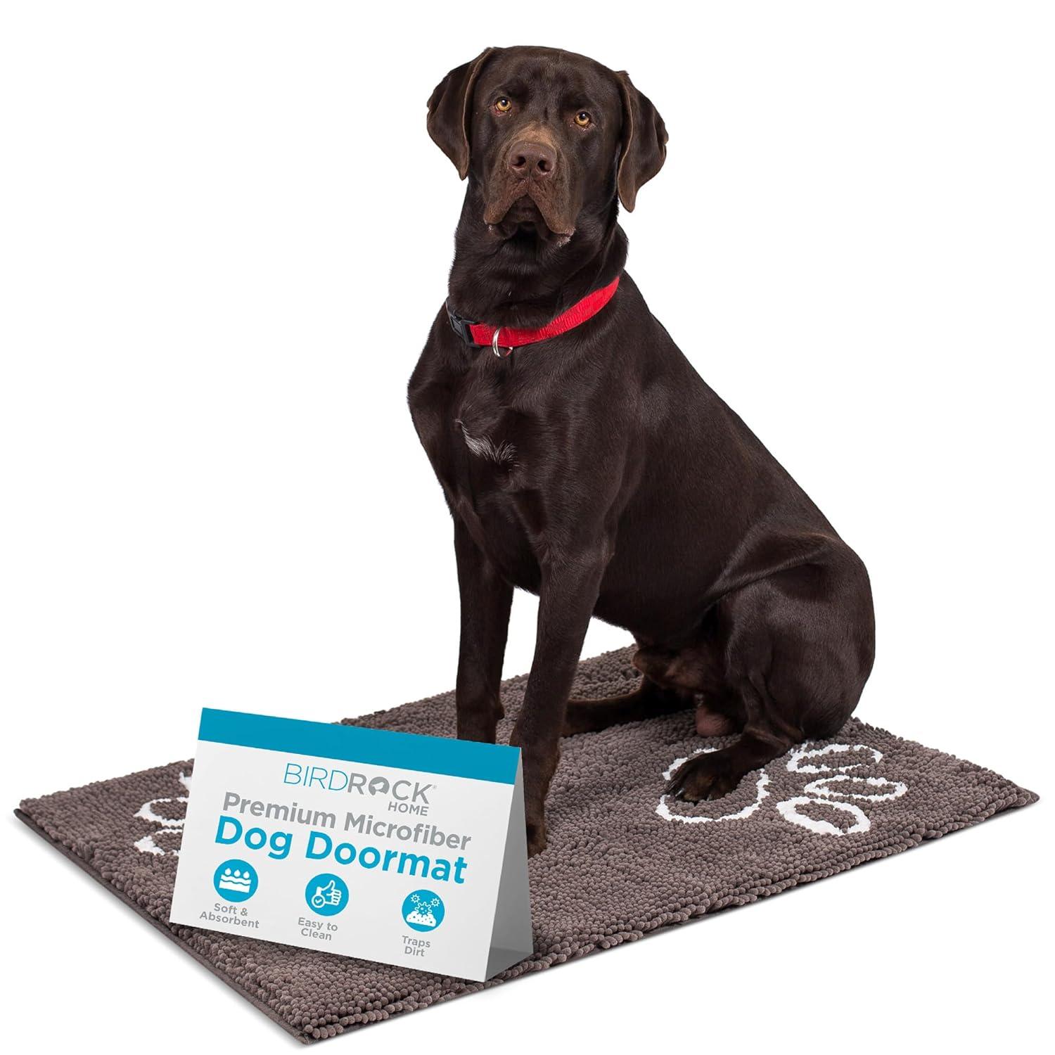 BirdRock Home Non-Slip Indoor Doormat