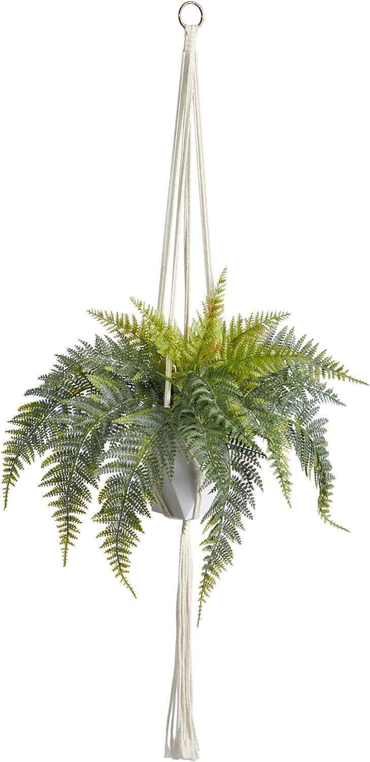 Boho Chic 25" Variegated Fern in Decorative Hanging Planter
